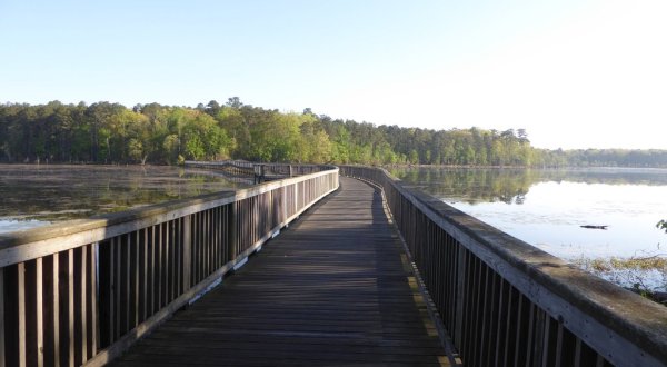 There’s So Much To Love About This Hidden Boardwalk Trail In Virginia