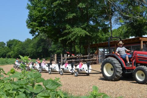 The Cow Train Ride In Georgia Is An Experience The Whole Family Will Love