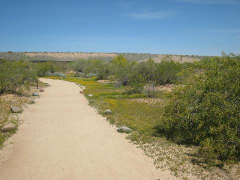 Arizona's First Residents Left Behind The Little Known Gems Found At This Nature Preserve