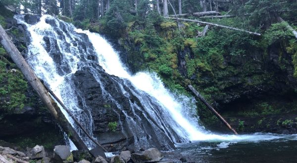 Your Kids Will Love This Easy 2-Mile Waterfall Hike Right Here In Montana