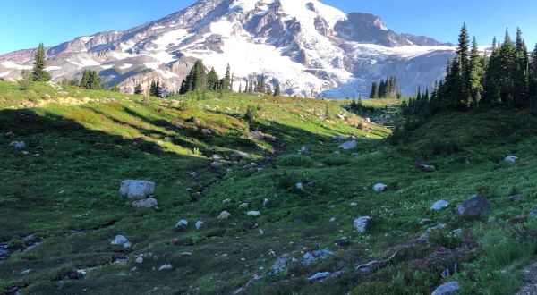 These 9 Stunning Washington Trails Have The Best Mountain Views