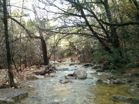 The Shady, Creekside Trail In Austin You'll Want To Hike Again And Again