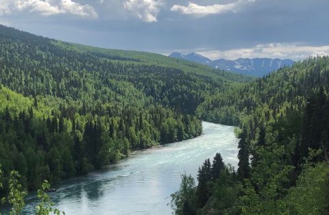 The Underrated River Trail In Alaska You'll Want To Hike Over And Over Again