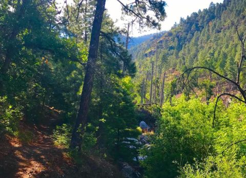The Underrated River Trail In New Mexico You'll Want To Hike Over And Over Again