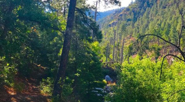 The Underrated River Trail In New Mexico You’ll Want To Hike Over And Over Again