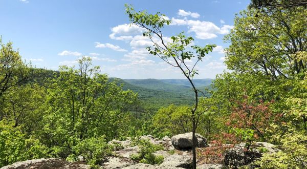 Just About Everyone Can Hike To The Top Of This Gorgeous Arkansas Mountain