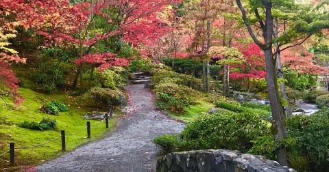 These 4 Vibrant Japanese Gardens In Washington Are Picture Perfect