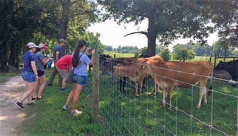 You'll Have Loads Of Fun At This Dairy Farm In Georgia With Incredible Chocolate Milk And Cheese Curds