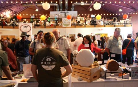 There's A Great Big Cheese Festival Coming To Massachusetts And It Looks As Delicious At It Sounds