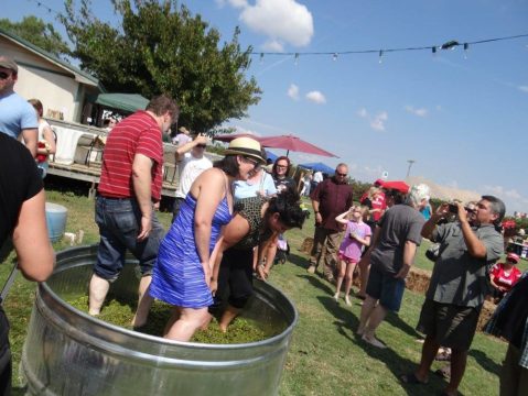 This Grape Stomp Festival In Oklahoma Is The Perfect End To Summer