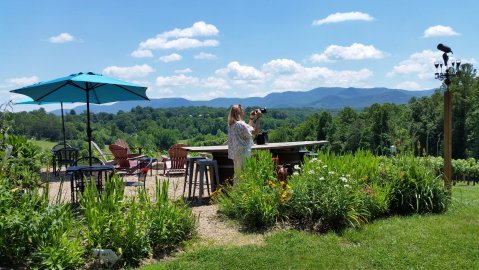 The One Enchanting Winery In North Carolina Where The Views Are As Delicious As The Vino