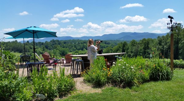 The One Enchanting Winery In North Carolina Where The Views Are As Delicious As The Vino