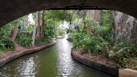 Take A Ride Through A Canal With Scenic Boat Tours, A One-Of-A-Kind Adventure In Florida