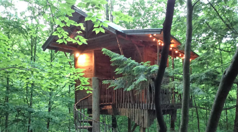 This Treehouse Resort In New York May Be Your New Favorite Location