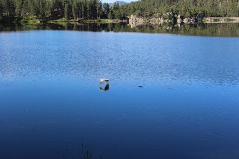This Secluded Lake In South Dakota Might Just Be Your New Favorite Swimming Spot