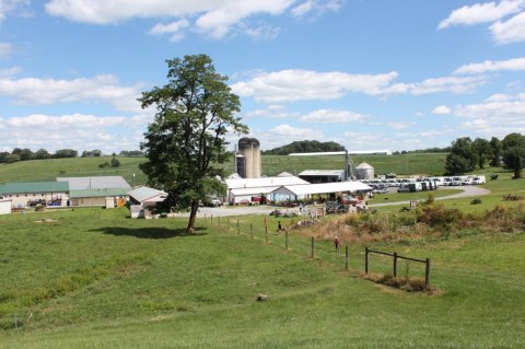 A Trip To This Incredible Ice Cream Farm In Maryland Will Delight You In Every Way