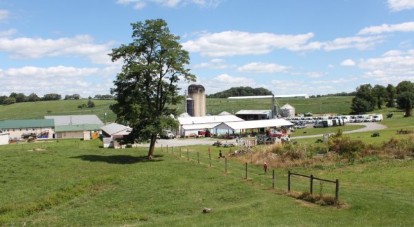 A Trip To This Incredible Ice Cream Farm In Maryland Will Delight You In Every Way