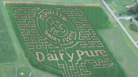 Get Lost In This Awesome 10-Acre Corn Maze In Tennessee This Autumn
