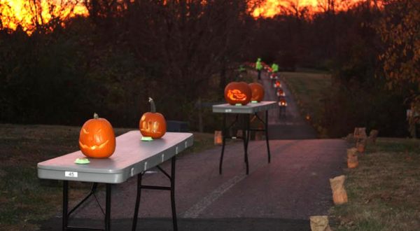 There’s A Glowing Pumpkin Trail Coming To Cincinnati And It’ll Make Your Fall Magical