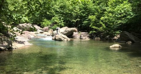 This Waterfall Swimming Hole In Virginia Is So Hidden You’ll Probably Have It All To Yourself