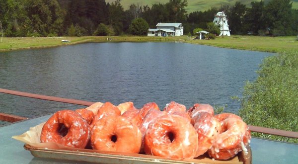 Some Of The Best Donuts Are Made Daily Inside Windmill Village, A Humble Little Montana Bakery
