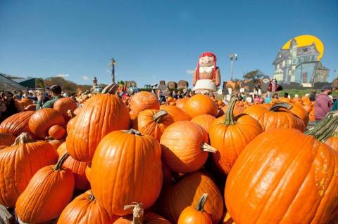 The Pennsylvania Orchard That Transforms Into A Halloween Wonderland Each Year