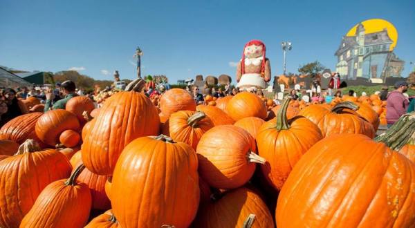 The Pennsylvania Orchard That Transforms Into A Halloween Wonderland Each Year