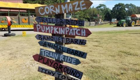 Nothing Says Fall Is Here More Than A Visit To Mississippi's Charming Pumpkin Farm