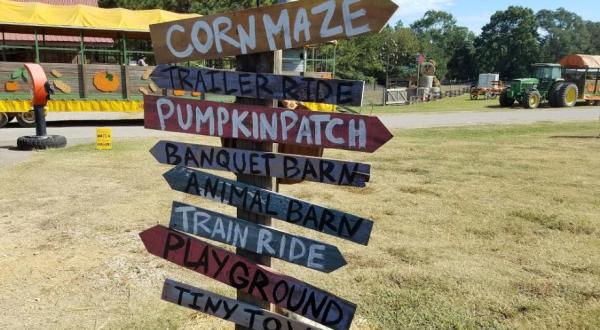 Nothing Says Fall Is Here More Than A Visit To Mississippi’s Charming Pumpkin Farm