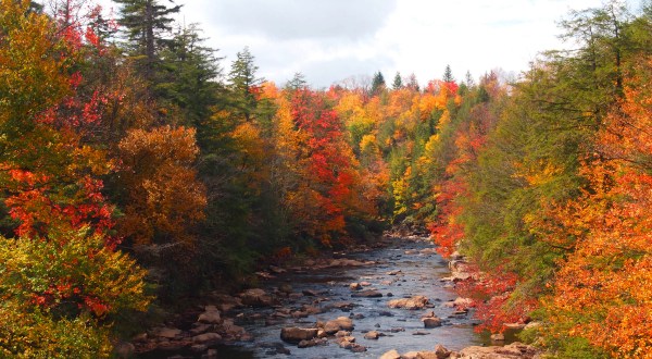 You’ll Be Happy To Hear That West Virginia’s Fall Foliage Is Expected To Be Bright And Bold This Year