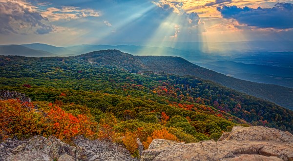 You’ll Be Happy To Hear That Virginia’s Fall Foliage Is Expected To Be Bright And Bold This Year