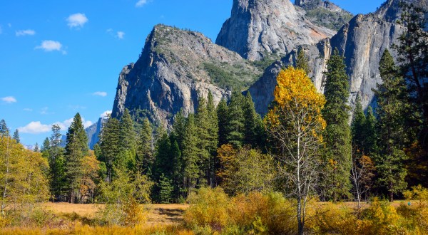 You’ll Be Happy To Hear That Northern California’s Fall Foliage Is Expected To Be Bright And Bold This Year