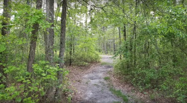One Of America’s Most Haunted Trails Is Right Here In North Carolina And You Won’t Want To Hike It Alone