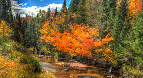 Fall Is Coming And These Are The 8 Best Places To See The Changing Leaves In New Hampshire