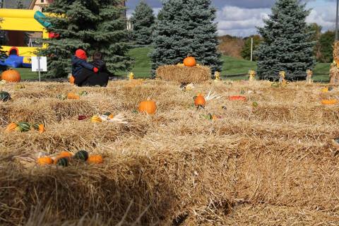 The Unique Scarecrow Festival In Michigan You Won't Find Anywhere Else