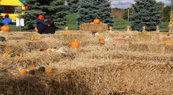 The Unique Scarecrow Festival In Michigan You Won’t Find Anywhere Else