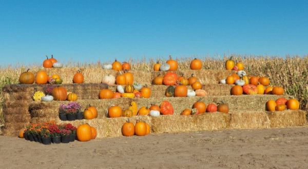 Nothing Says Fall Is Here More Than A Visit To Wyoming’s Charming Pumpkin Farm