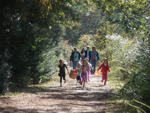 The Enchanting Halloween Hike In Virginia Your Whole Family Will Love