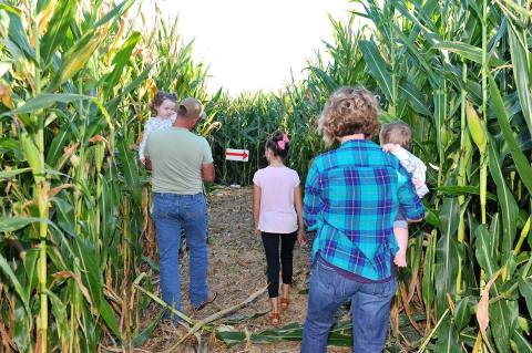 Get Lost In Exeter Corn Maze This Autumn, An Awesome 8-Acre Corn Maze In Missouri