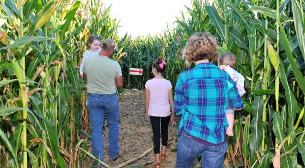 Get Lost In Exeter Corn Maze This Autumn, An Awesome 8-Acre Corn Maze In Missouri