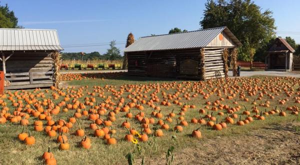 6 Pumpkin Patches Around Nashville That Will Put You In The Mood For Fall
