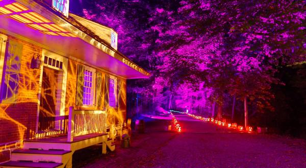 New York’s Glowing Pumpkin Trail Is A Great Way To Celebrate Fall