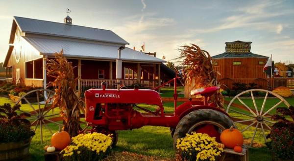 The 11 Best Places In Wisconsin To Get Your Apple Cider Donut Fix This Fall