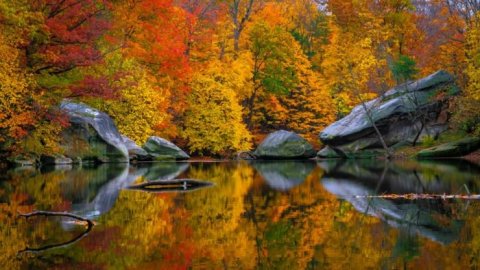 You'll Be Happy To Hear That Cleveland's Fall Foliage Is Expected To Be Bright And Bold This Year