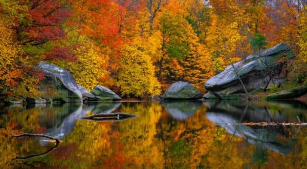You’ll Be Happy To Hear That Cleveland’s Fall Foliage Is Expected To Be Bright And Bold This Year