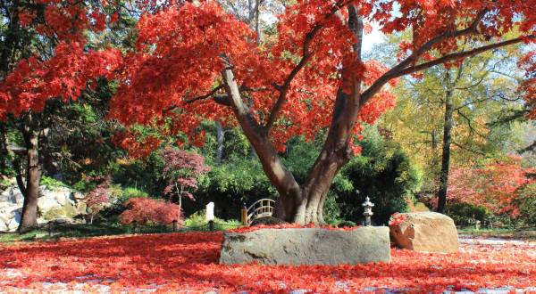 Nothing Says Fall Is Here More Than A Visit To Virginia’s Charming Maple Garden