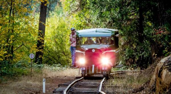 This Railbus Ride Through The Forest In Northern California Is A Little-Known Adventure
