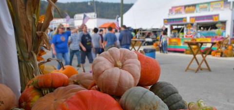 Make Your Autumn Awesome With A Visit To West Virginia's Little Known Pumpkin Park