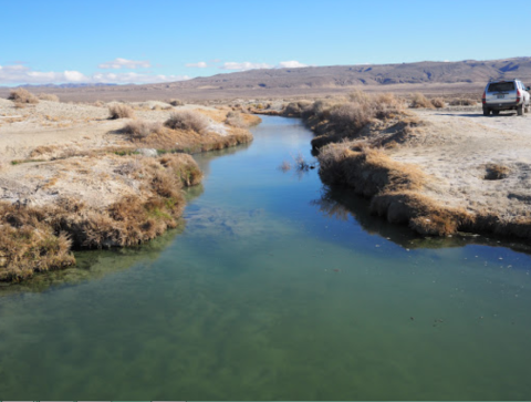 Visit This Isolated Hot Spring In Nevada And You'll Have The Whole Place To Yourself