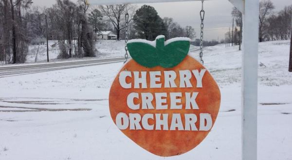 Most People Have No Idea This Charming Orchard Is Hiding In Mississippi
